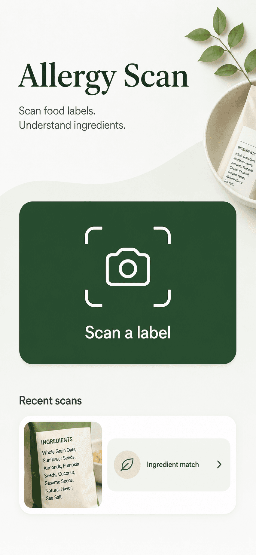Illustrative placeholder of the Allergy Scan iPhone home screen